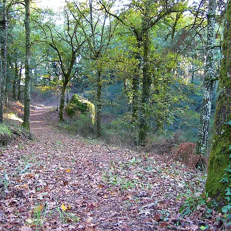 Фермерский дом Quinta Da Prova Аркуш-ди-Валдевеш