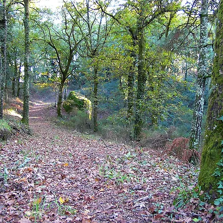 Quinta Da Prova Alojamento de Turismo Rural Arcos de Valdevez