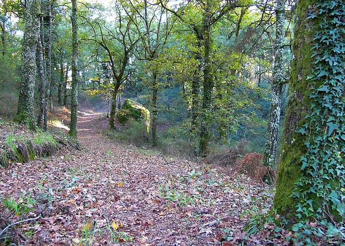 Lantgård Quinta Da Prova Arcos de Valdevez